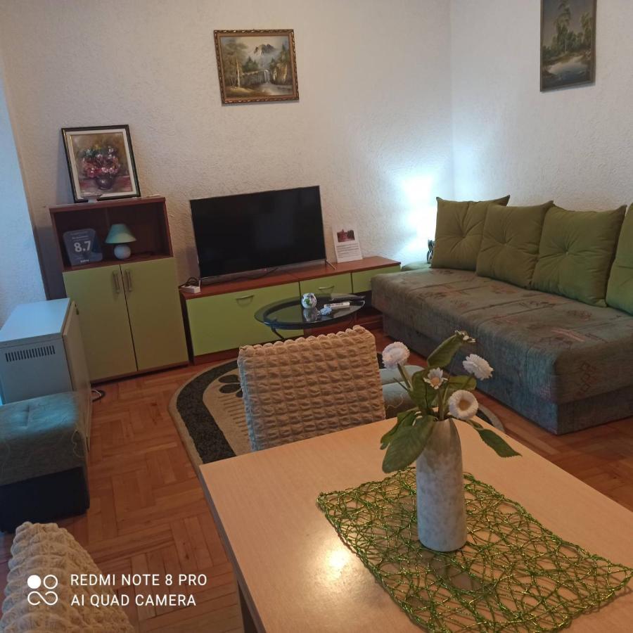 Apartman Radicevic Vrnjacka Banja Bagian luar foto